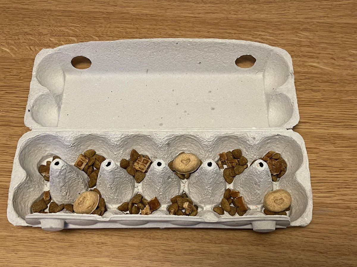 sassynerd__'s tweet photo. Easy DIY gift for your pupper. I was able to repurpose a shopping bag and egg carton and now my girl will have something fun and enriching to open tomorrow morning. 🎅🏼🎄 So happy I found this idea in one of my FB groups. https://t.co/HJ0gqeZwVK
