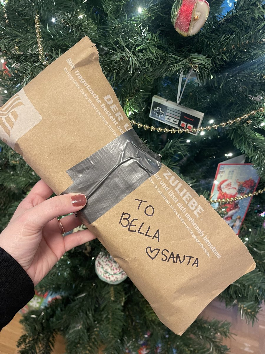 Easy DIY gift for your pupper. I was able to repurpose a shopping bag and egg carton and now my girl will have something fun and enriching to open tomorrow morning. 🎅🏼🎄 So happy I found this idea in one of my FB groups.