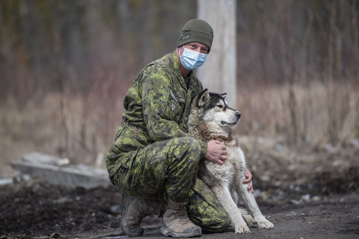 COIC_CJOC's tweet photo. #LesMeilleuresPhotosDesOps2021
#8 - Un membre de la Force opérationnelle Aurora fait connaissance avec les chiens de la Nation des Cris de Manto Sipi au cours de l’#opVECTOR, dans le Nord du Manitoba, le 17 mai 2021. https://t.co/7skQG0x9uB