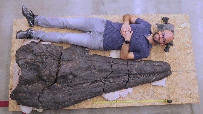 Descriuen un gegant marí de 18 metres que va viure fa 244 milions d'anys
bit.ly/3my04YR