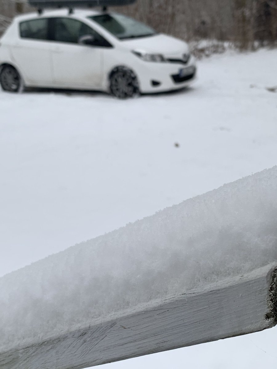 co_ki_net's tweet photo. Ab in den Winter. Juhuuu. 🎄🥶❄️ https://t.co/n6S21Bx3jn