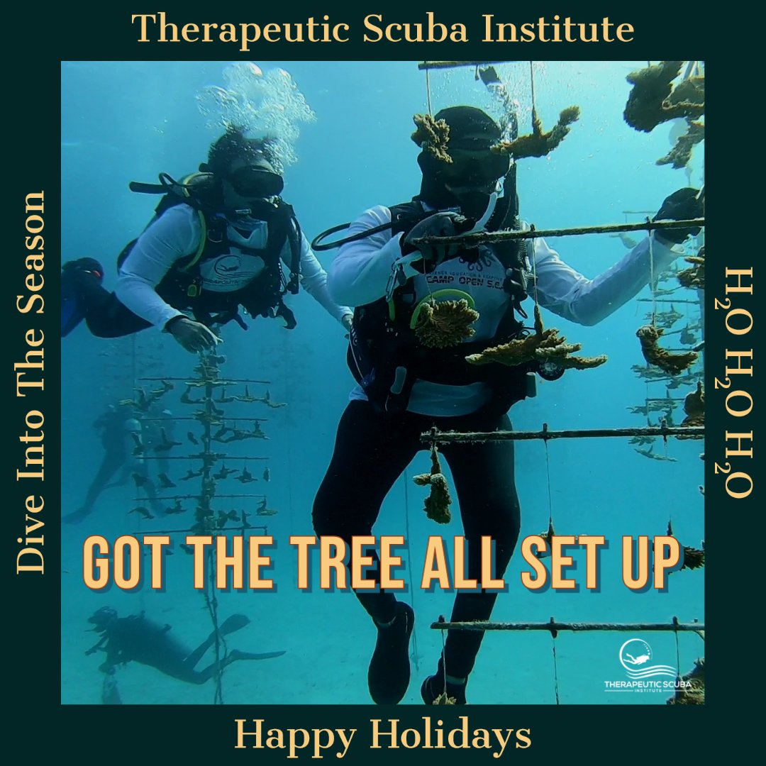 TherapScubaInst's tweet photo. Trees come in many forms, as do the divers who set them up. Happy Holidays, everyone. We wish you the warmest (and wettest) times to come.
#AdaptiveScuba #ScubaForAll https://t.co/tGvhGhpfHv