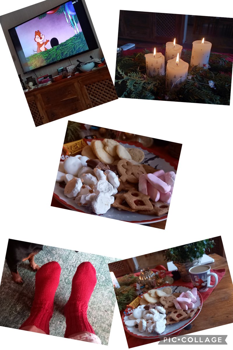 Lisbeth Bacon (@baconlisbeth) on Twitter photo 