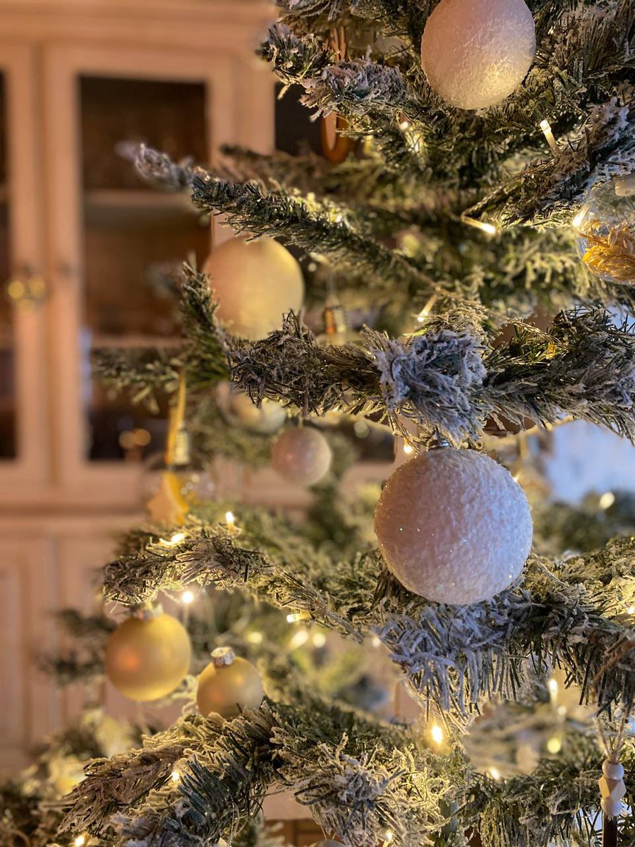 Je vous souhaite un très joyeux Noël ! 🎄 En famille, avec vos amis, ou à distance, profitez de ces précieux moments. 🎁 Je tiens à adresser une pensée particulière aux soignants, aux personnes isolées, et à tous ceux qui travaillent. Prenez soin de vous et de vos proches. 🌟
