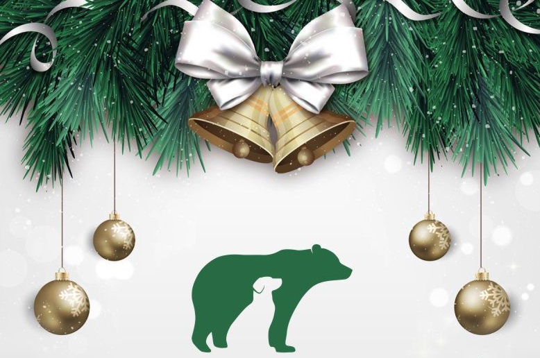 ArthurBearCoin tweet media