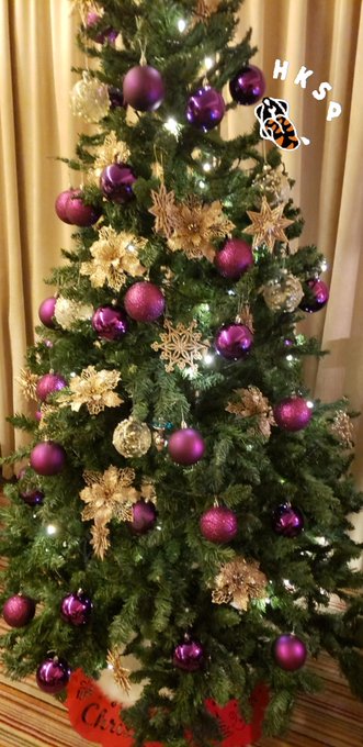 Merry Xmas  真心CLS😂😂😂 成棵樹搬過黎同大家慶祝性誕，有無心先🤣🤣🤣 HKSP祝大家平安夜，平平安安 性誕夜，性褔滿滿 扑聲Day，扑到聲犀力竭  ＃hksp #hksecretparty<a href="/tag/merrychristmas"class="tags"><span>#merrychristmas</span></a><a href="/tag/cls"class="tags"><span>#cls</span></a><a href="/tag/hksecretparty"class="tags"><span>#hksecretparty</span></a><a href="/tag/%E8%81%96%E8%AA%95%E6%A8%B9%E5%91%80hi%E4%BD%A0"class="tags"><span>#聖誕樹呀hi你</span></a><a href="/tag/%E5%8B%81%E5%A4%9Aballball"class="tags"><span>#勁多ballball</span></a>