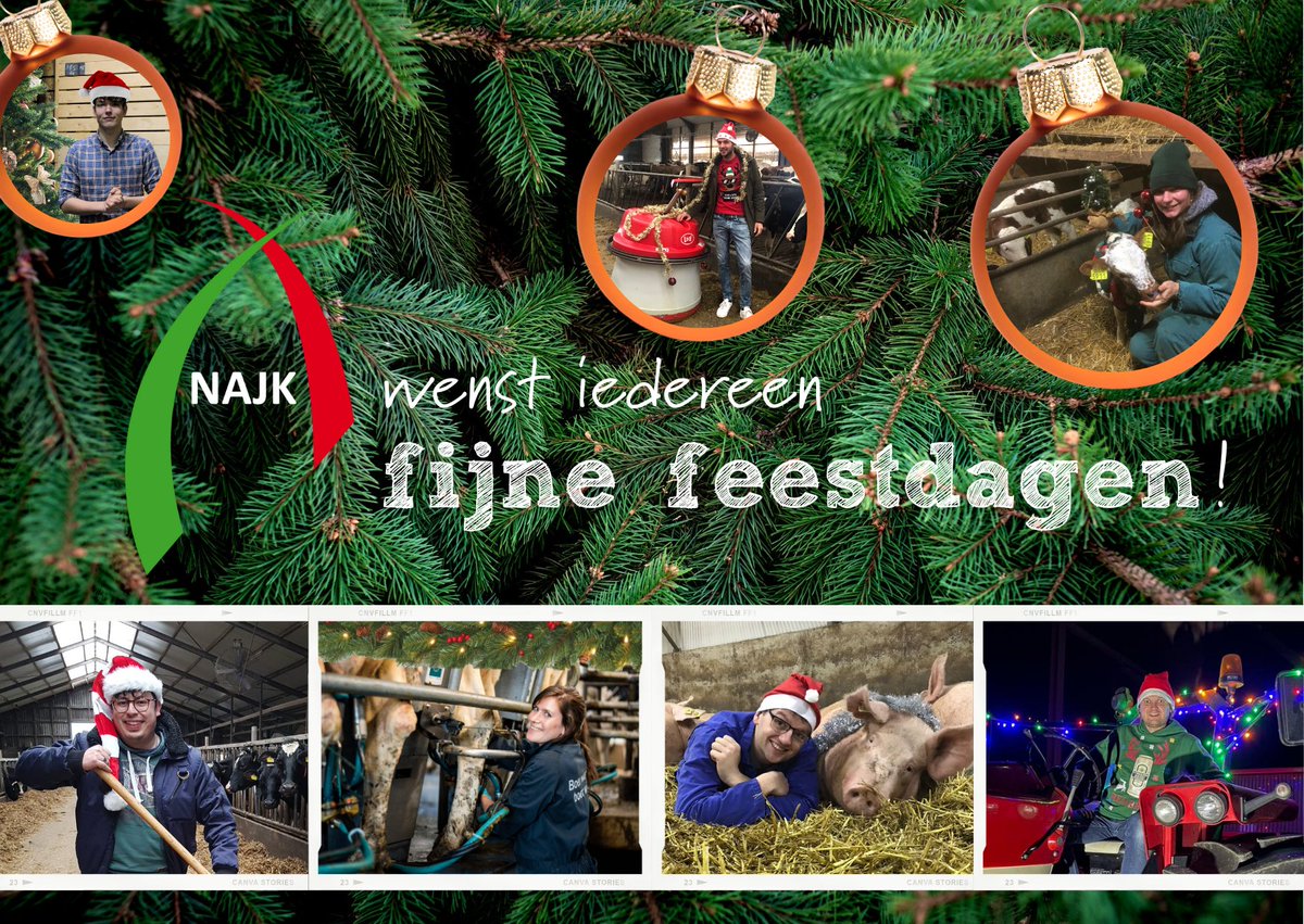 FEESTDAGEN 2021 🎄 ✨ | YIHAAA, kerstpost namens ons dagelijks bestuur. 📬 #kerstgroetjes

NAJK wil iedereen via deze weg hele fijne #feestdagen toewensen! 👏🏻 🍾