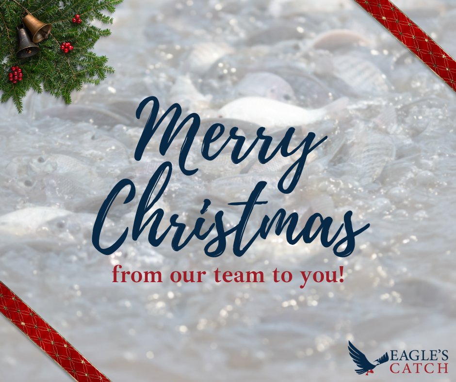 eagles_catch's tweet photo. From our team at Eagle's Catch, we wish you all a very Merry Christmas! We value each and every one of our customers and cannot express our gratitude enough for your ongoing support. We hope you can enjoy some time with your loved ones this weekend! 
#merrychristmas #eaglescatch https://t.co/2tkLViqVBM