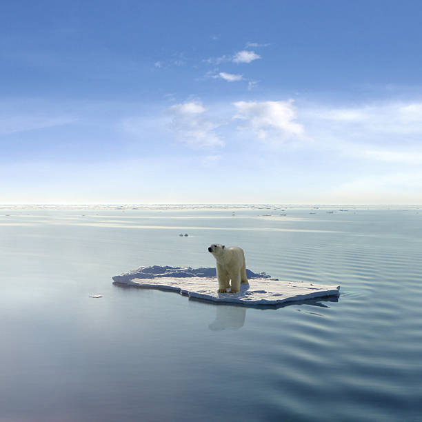 As Earth warms, and Arctic ice melts, Santa will lose his habitat too. We may one day see photos of him clutched to an ice floe.
