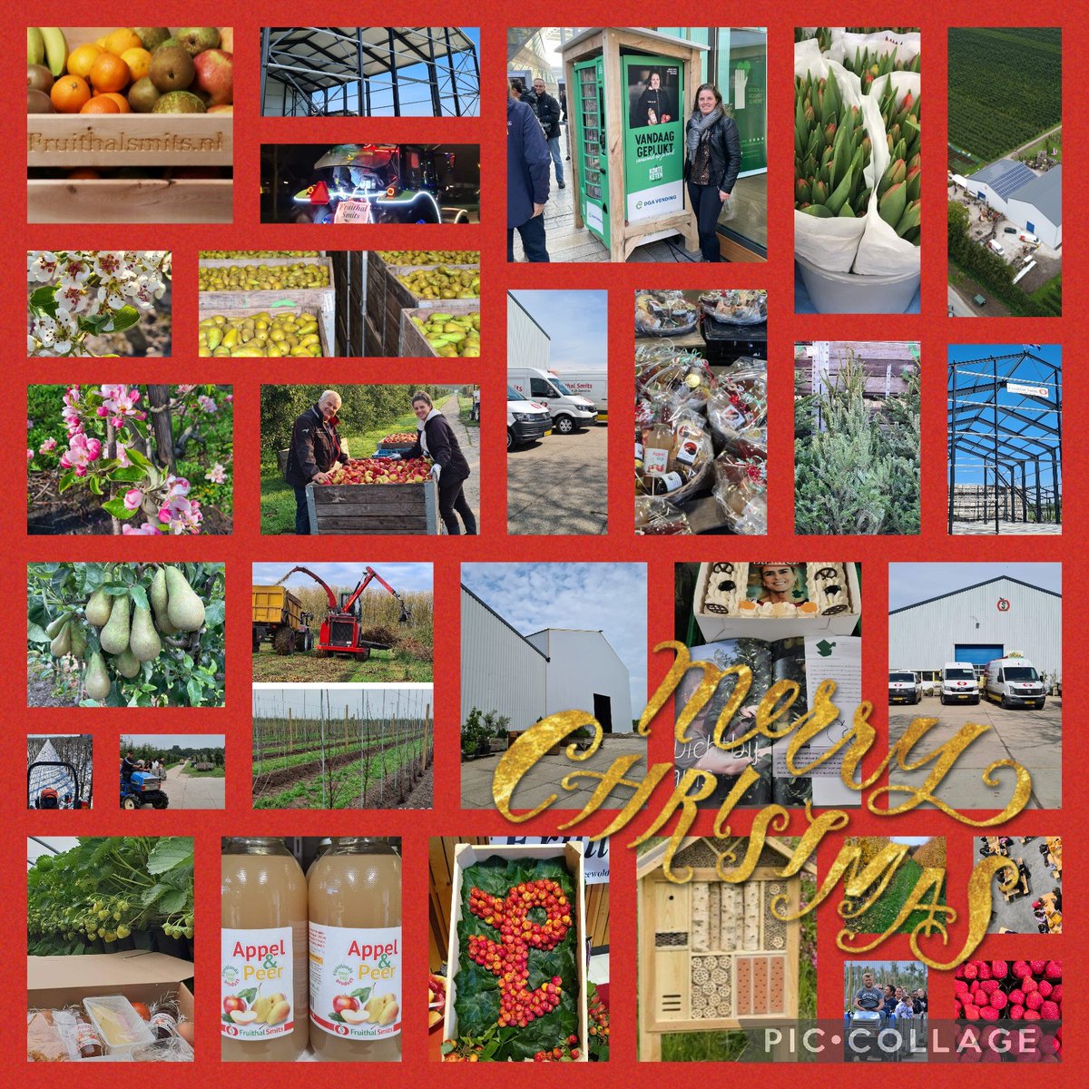 Team Fruithalsmits wenst iedereen Fijne Kerstdagen! 🌲🎅🌲🎅
Maandag 27 december staan we weer voor u klaar!