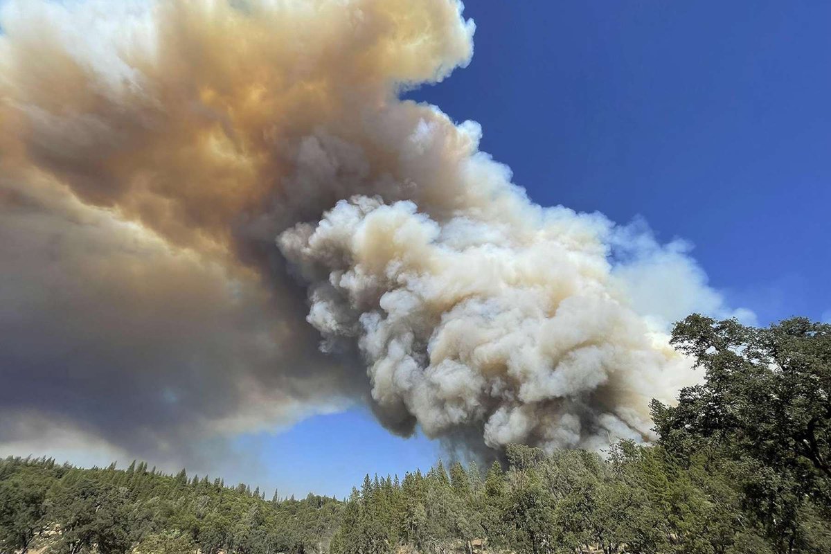 neiltyson's tweet image. For Santa to deliver gifts to all world&apos;s Christians in one night requires hypersonic speeds through Earth’s lower atmosphere, vaporizing his reindeer &amp;amp; sleigh.

Just sayin’.