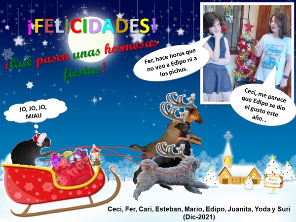 Caminos Solidarios (@caminossolidar) on Twitter photo 