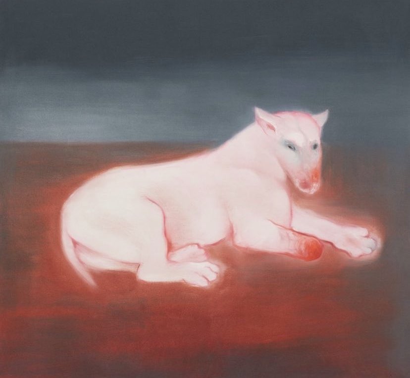 FHYshiqXsAcXIIB?format=jpg&name=900x900