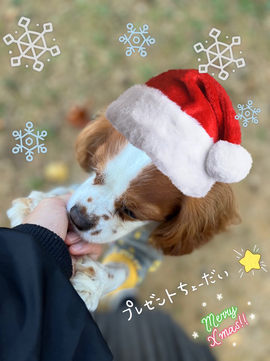 tenchan_0101's tweet photo. https://t.co/62c2AlzYr1