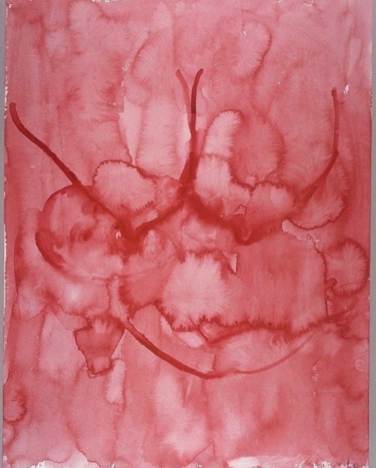 FHYudXjWQAMvuWn?format=jpg&name=medium