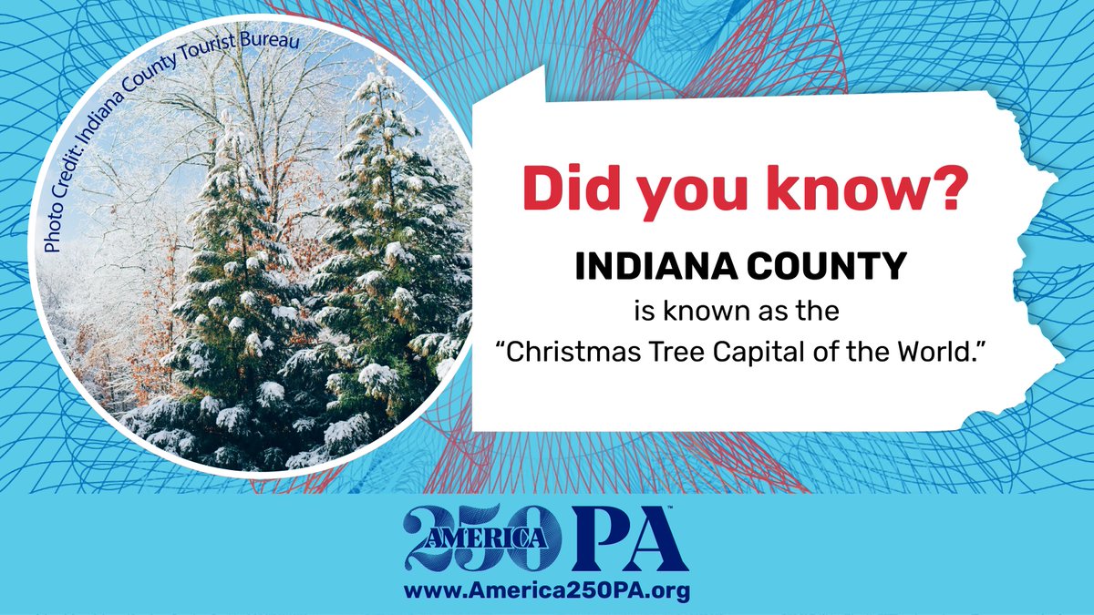 America250_PA's tweet photo. Did you know that #IndianaCounty is considered the "Christmas Tree Capital of the World"? Happy Christmas Eve!
πΈ credit: @IndianaCoTB
#FunFactFriday #ChristmasTrees #ChristmasEve #Nature #PAProud #EPIC https://t.co/MNdI7AjGIm