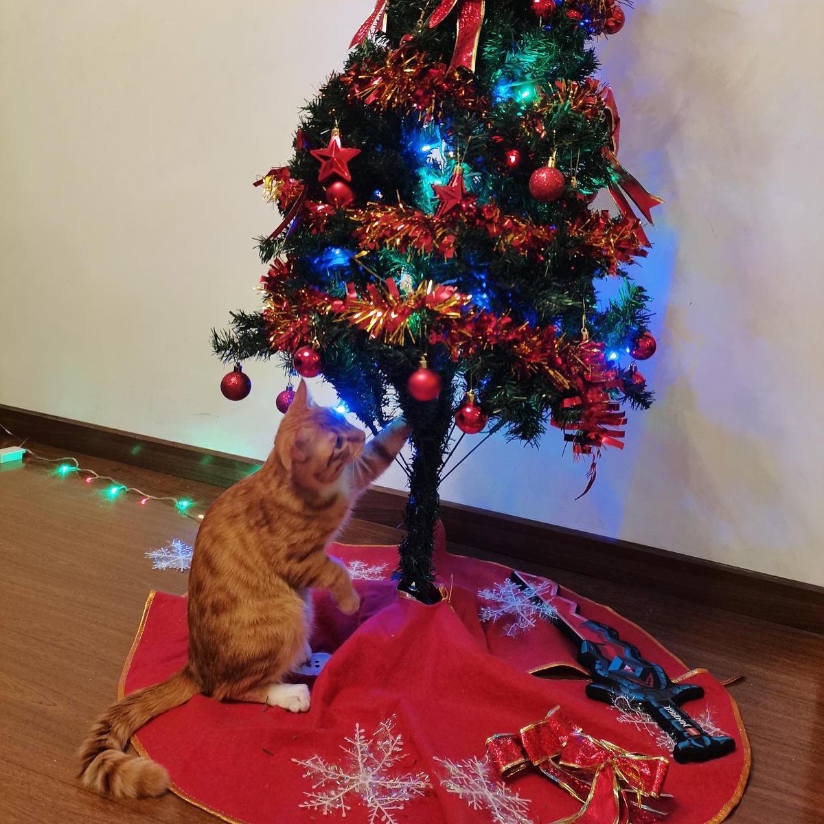 Meowfeel1's tweet photo. Merry Christmas &amp; Happy New Year! 🐈🎄🎄🎄❄️❣️

#merrychristmas🎄 https://t.co/WVSYZknEjz
