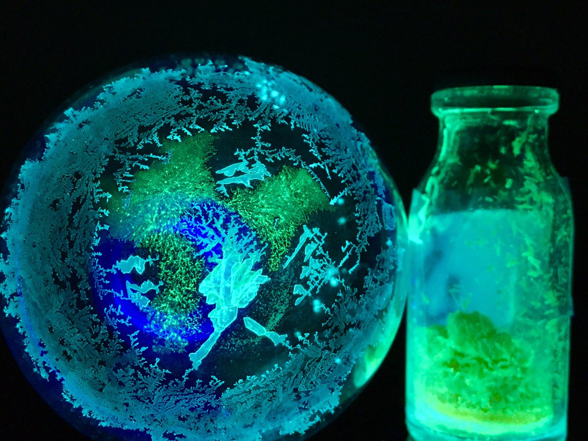 UfprNmr's tweet photo. An outstanding work from @rampon_daniel_s lab showing some awesome chemical web #NMRchat #OrganicBEAUTY https://t.co/Ct4VPTViE2