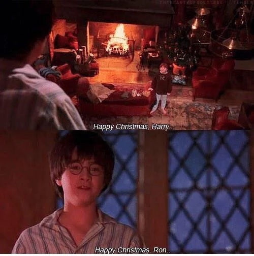 Happy Christmas everyone! We hope that you get a hand-knitted jumper, a big container of Bertie Botts Every Flavour Beans &amp; a piece of treacle tart. Oh, don't forget the mint humbugs too!

What is your favourite Xmas treat? We're partial to mince pies and eggnog around here.