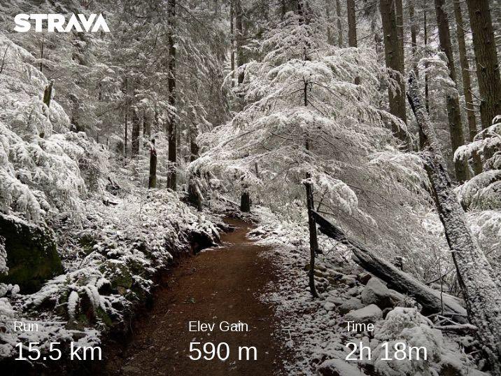 MikeSenior's tweet image. Such a fantastic snowy run this morning. Just like running in a snow globe. Happy Christmas Eve 🎅