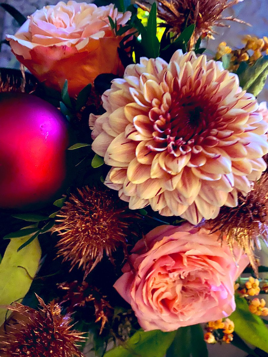 susie hofmann-fraser tweet media