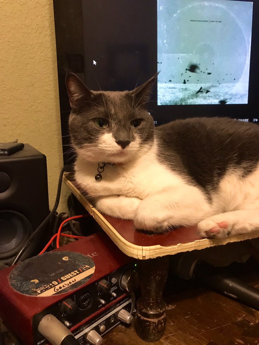 Hector Galvan tweet media