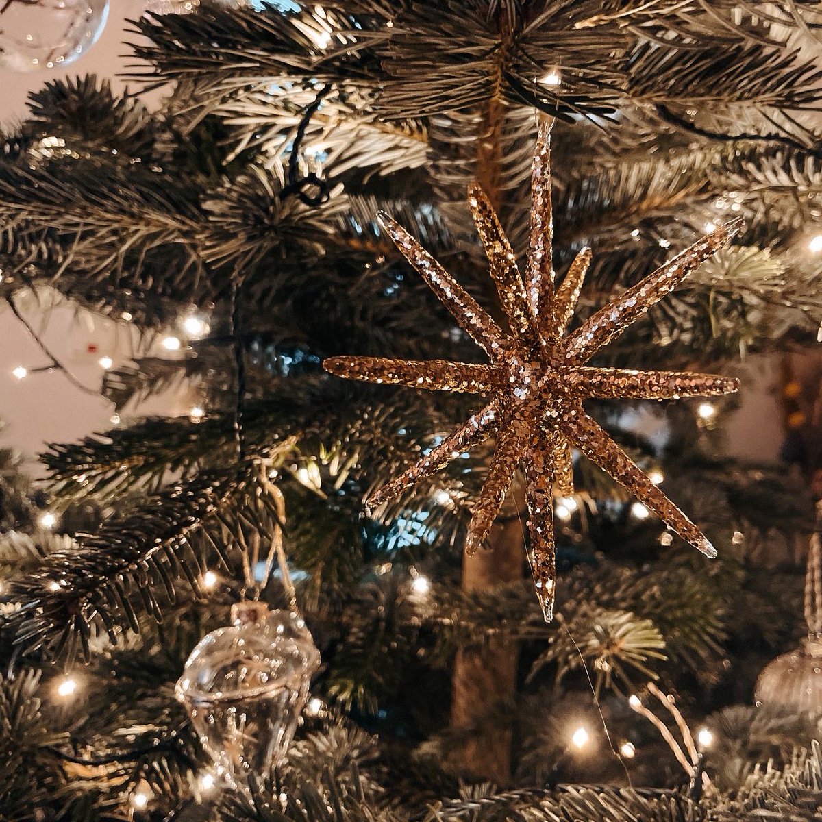 Euch allen ein frohes und besinnliches Weihnachtsfest. Genießt die Zeit im Kreis eurer Liebsten. 🎄🌟 #MerryChristmas