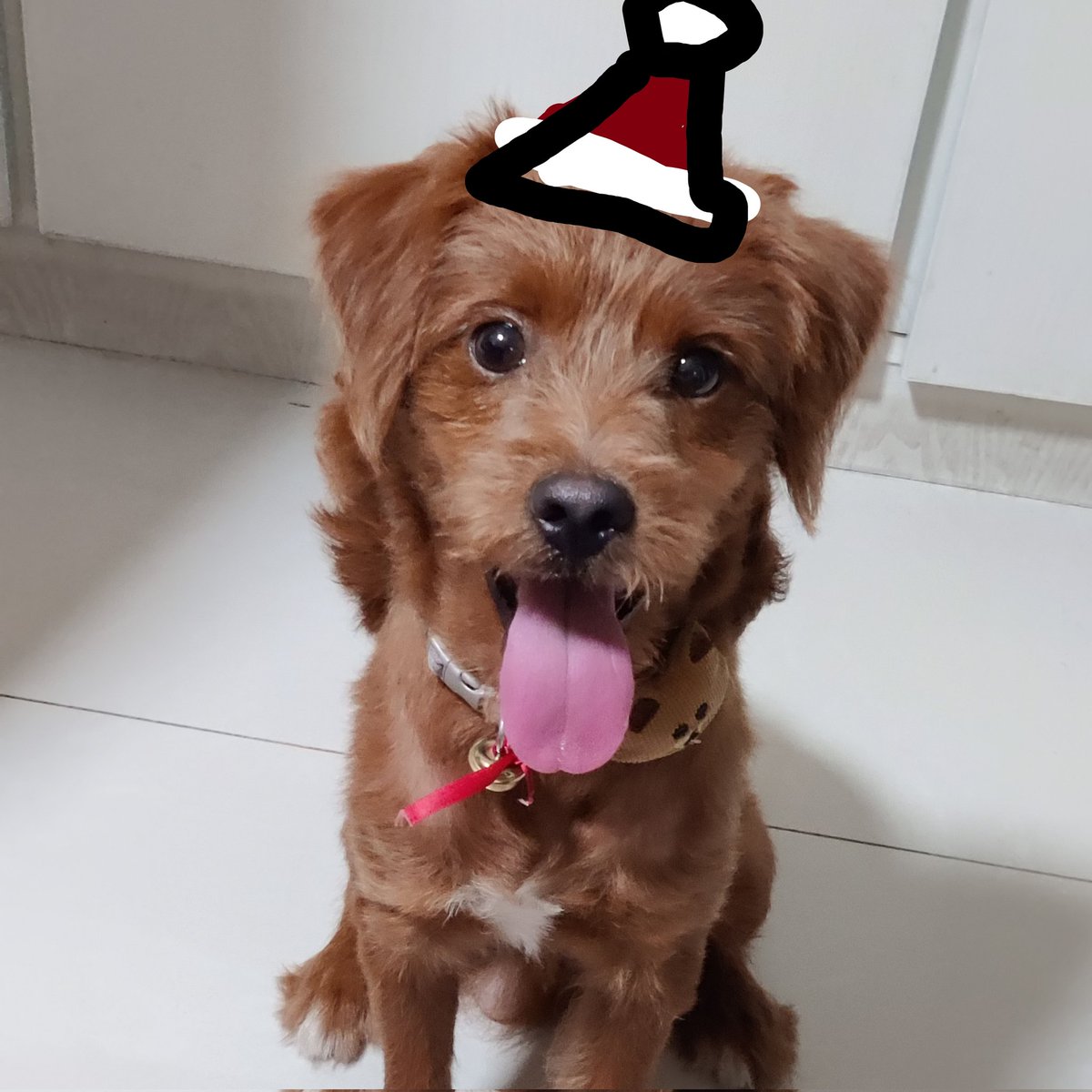 Xianyao Wei tweet media