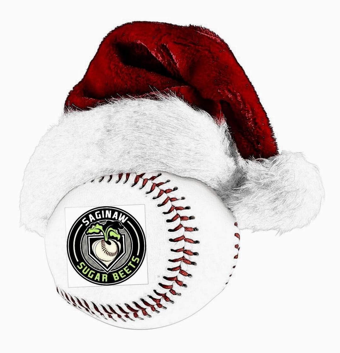 🎄 🎄 Merry Christmas🎄🎄