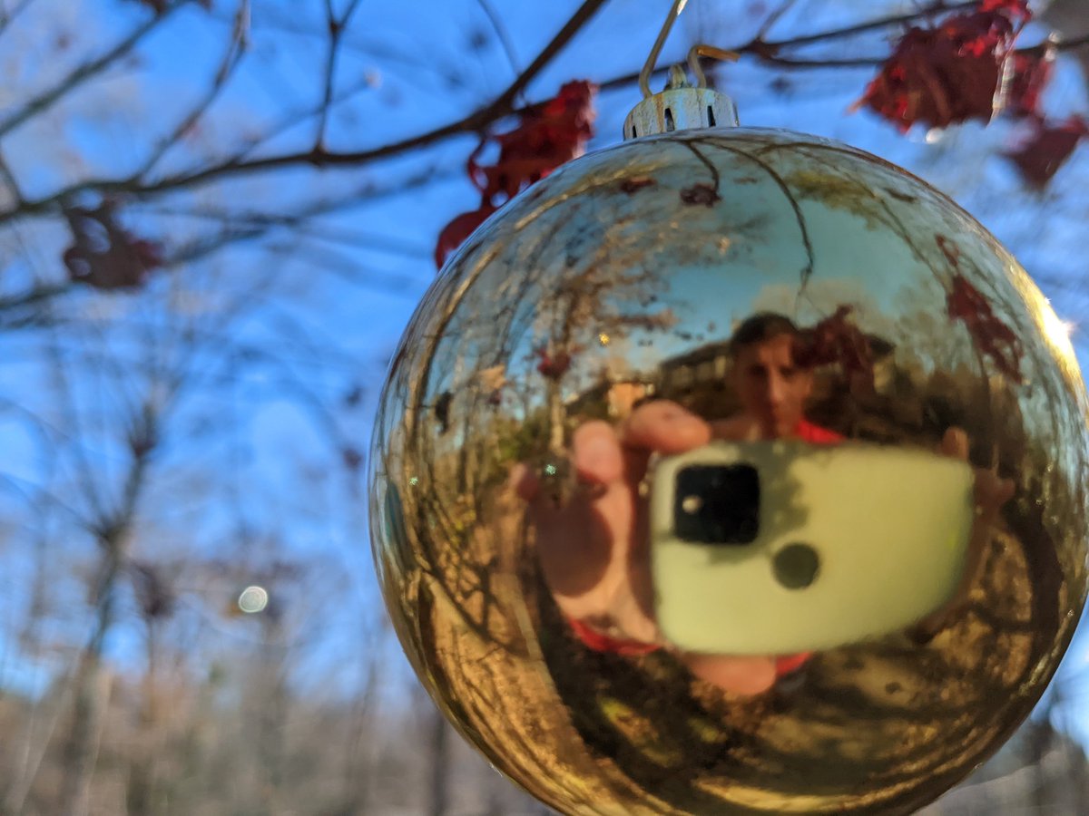 Robert Scheller tweet media