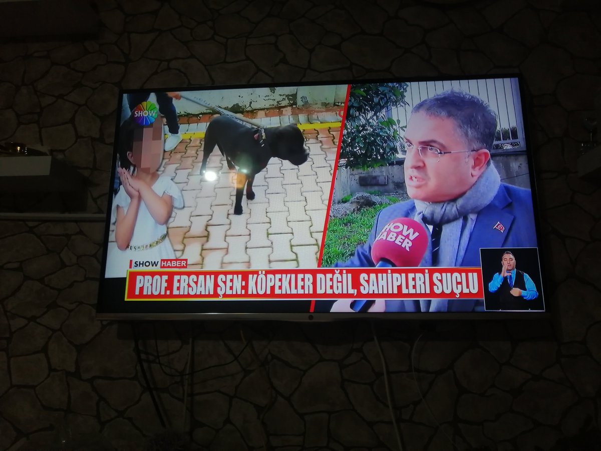 Asıl suçlu sahipleri dir o kirli ellerinizi masum sokak canlarından çekiniz #sahipsizlerinsahibiyiz