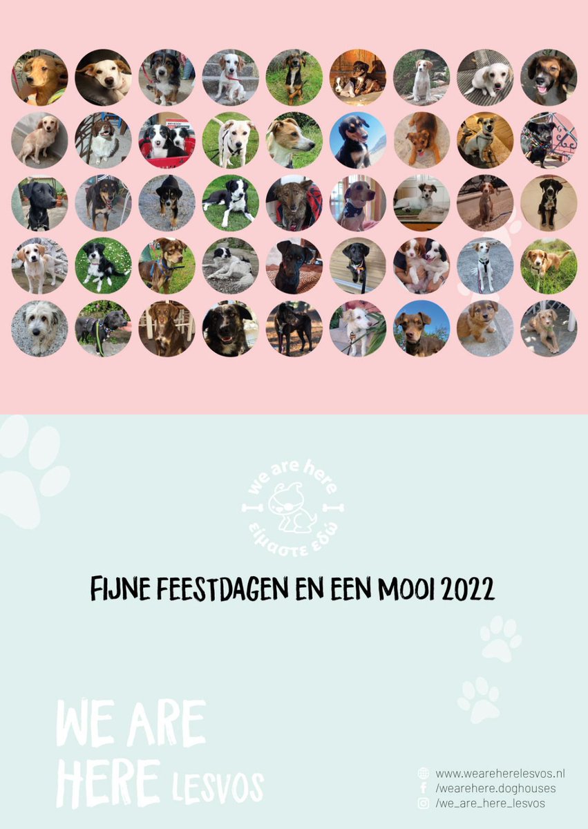 #kerst #AdoptDontShop