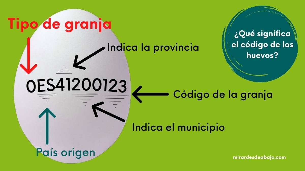 ECOabraham's tweet photo. 🔎 La diferencia entre comer huevos ecológicos y huevos baratos con maltrato animal y contaminados es de 0,76€ por persona y semana, de promedio.
🥚🥚🥚 ¿De verdad que tu salud, y la de los tuyos, no valen 76 céntimos?  🥚🥚🥚  
👇👇⏬⏬👇👇 
https://t.co/LKv5Flltag https://t.co/3sJOmbbT74