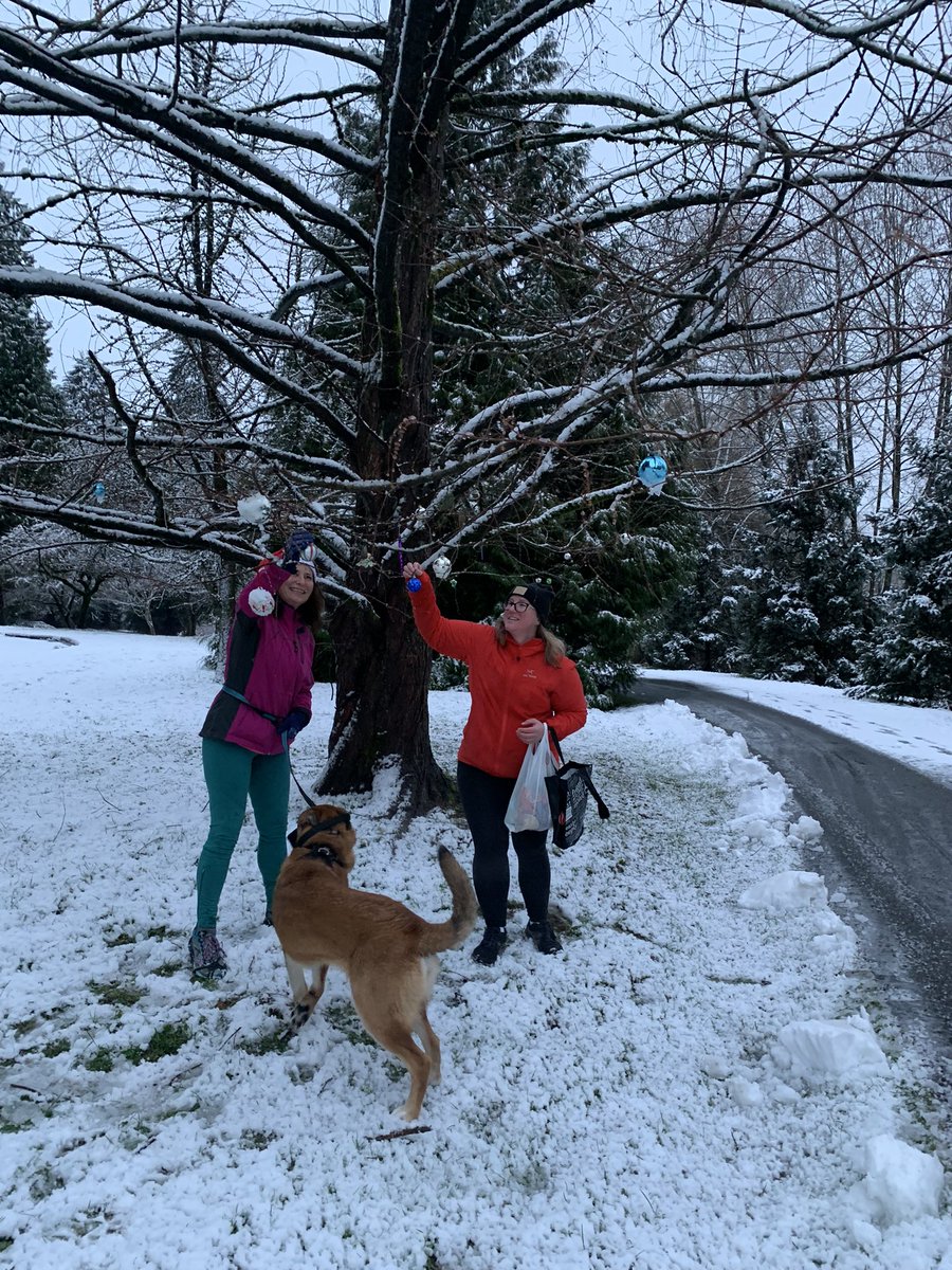 joninacampbell's tweet photo. Jingle Bell run this morning &amp; QP Christmas Tree decorating with these awesome people! @sackofguts @cyrus_sy @theregoesCarly @CanSpice @maybe2mrrow Happy Christmas to all who celebrate. 🎄🎅 https://t.co/Fc1tMkkPff