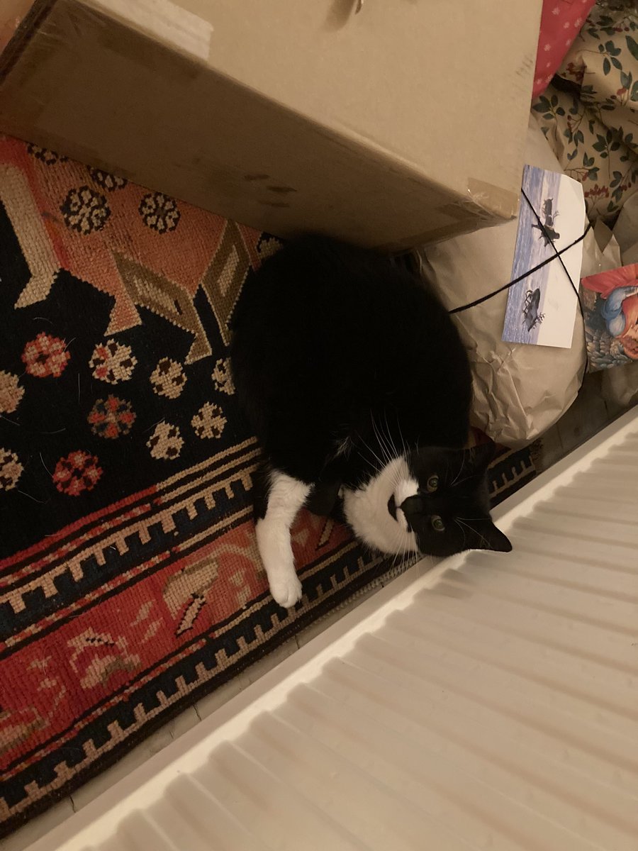 moonofpluto's tweet photo. Look what showed up under the christmas tree https://t.co/Pw8xgdcroU