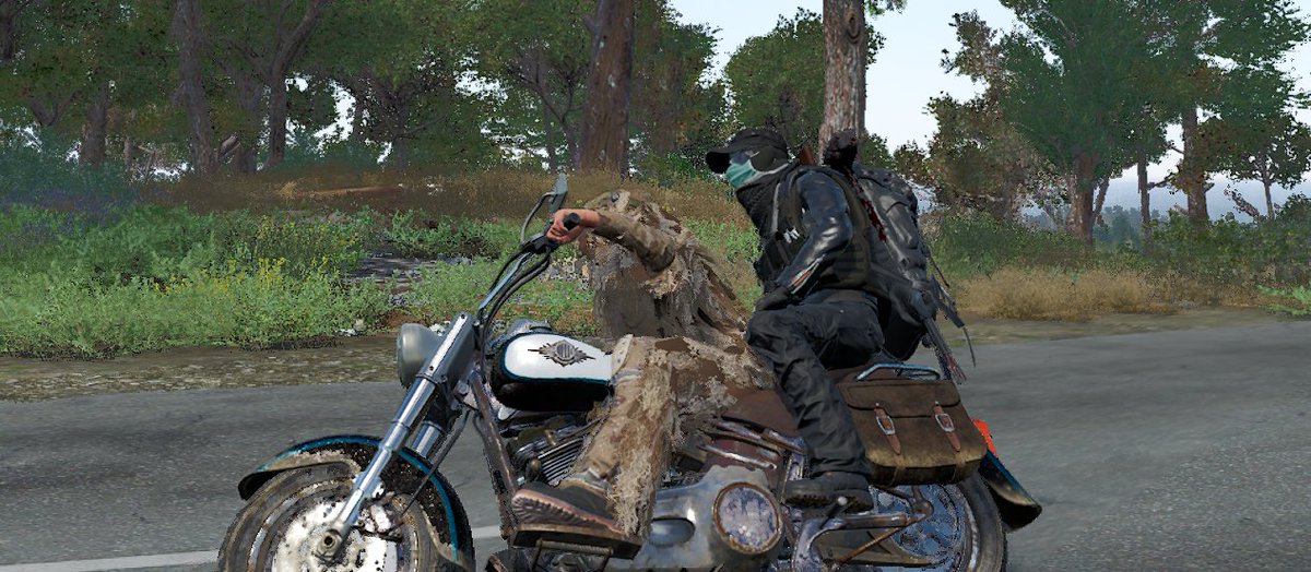 ttv_archangel's tweet photo. Nothing like cruisin' with your best friend on a beautiful day on SCUM~ 🏍️ ☀️ 40% OFF RIGHT NOW ON STEAM! #SteamSale #SCUM #Gamepires #Cruiser #sneeves #squadmate #bestfriend #BestSurvivalGame https://t.co/kqDyze1S1D