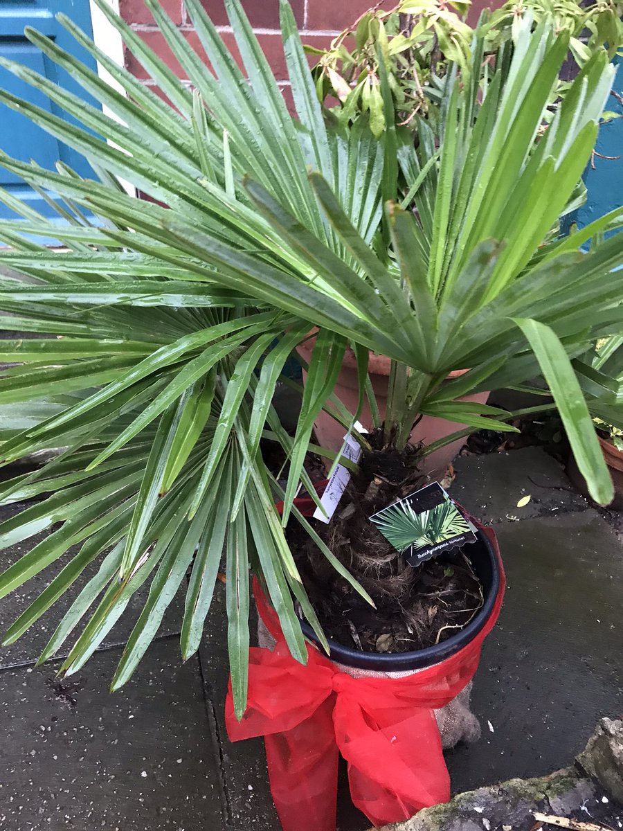 Fox Hill Nursery tweet media