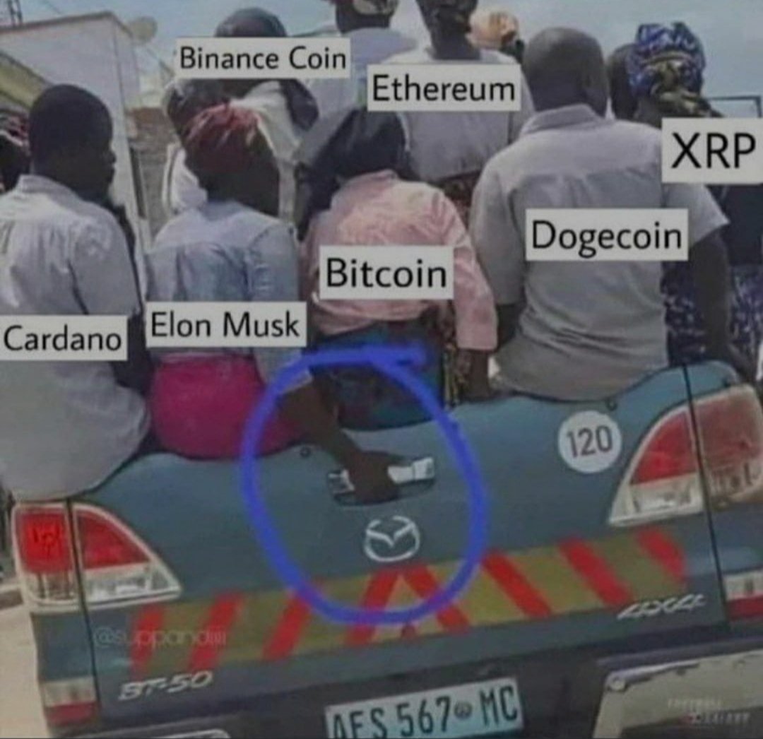 Don't even try it! <a href="/elonmusk/">Elon Musk</a>