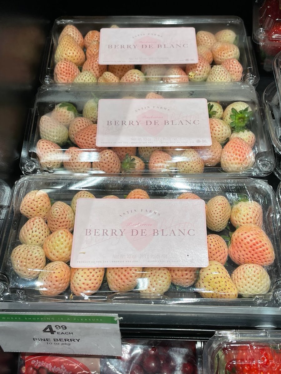 White strawberry 'Florida Pearl' is in local grocery stores!! Publix