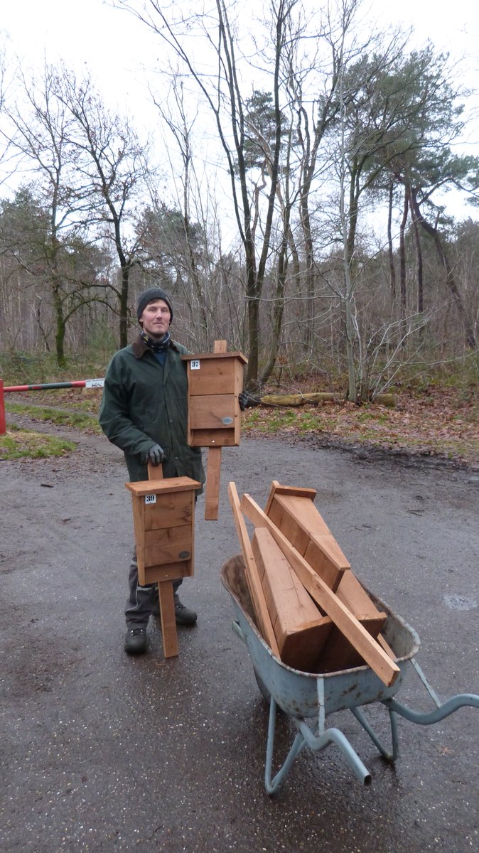 nacht_de's tweet photo. Vandaag 10 nieuwe 🦇kasten gesponsord door @FaunusNature gehangen op voormalig MOB-complex Heesch. Nu de andere 30 verouderde Boshamer-kasten nog omwisselen voor nieuwe. En dan nog effe 40 kasten op MOB Schaijk omwisselen en ook daar 10 nieuwe kasten erbij 😅 #datamakers https://t.co/WPyMoOkOGE