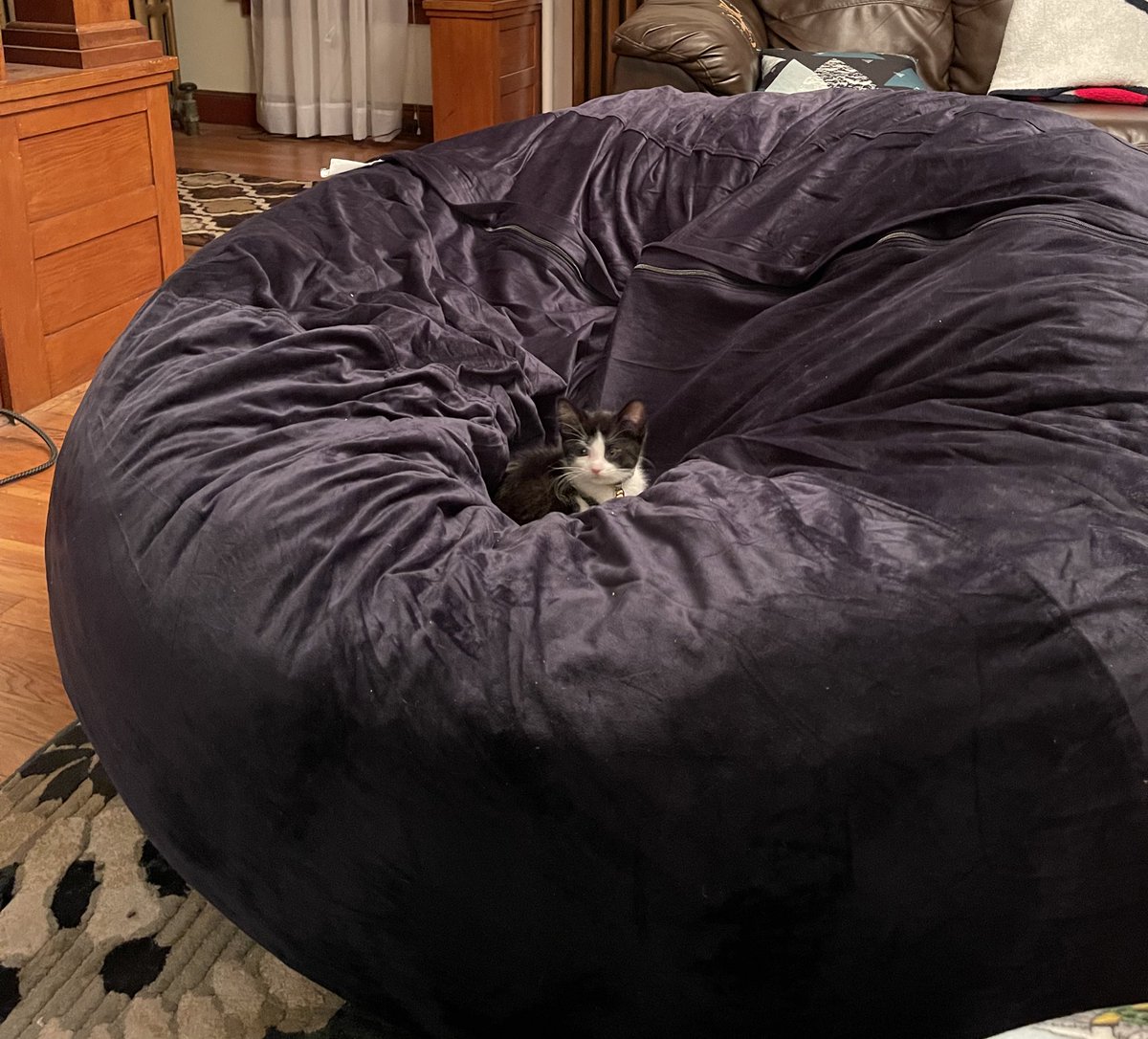 marycfucci's tweet photo. Same energy https://t.co/swePTXYCEg