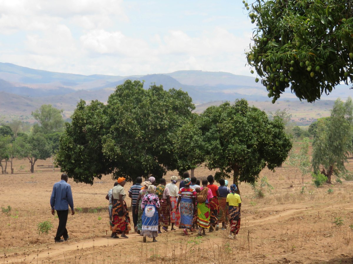 Find Your Feet tweet media