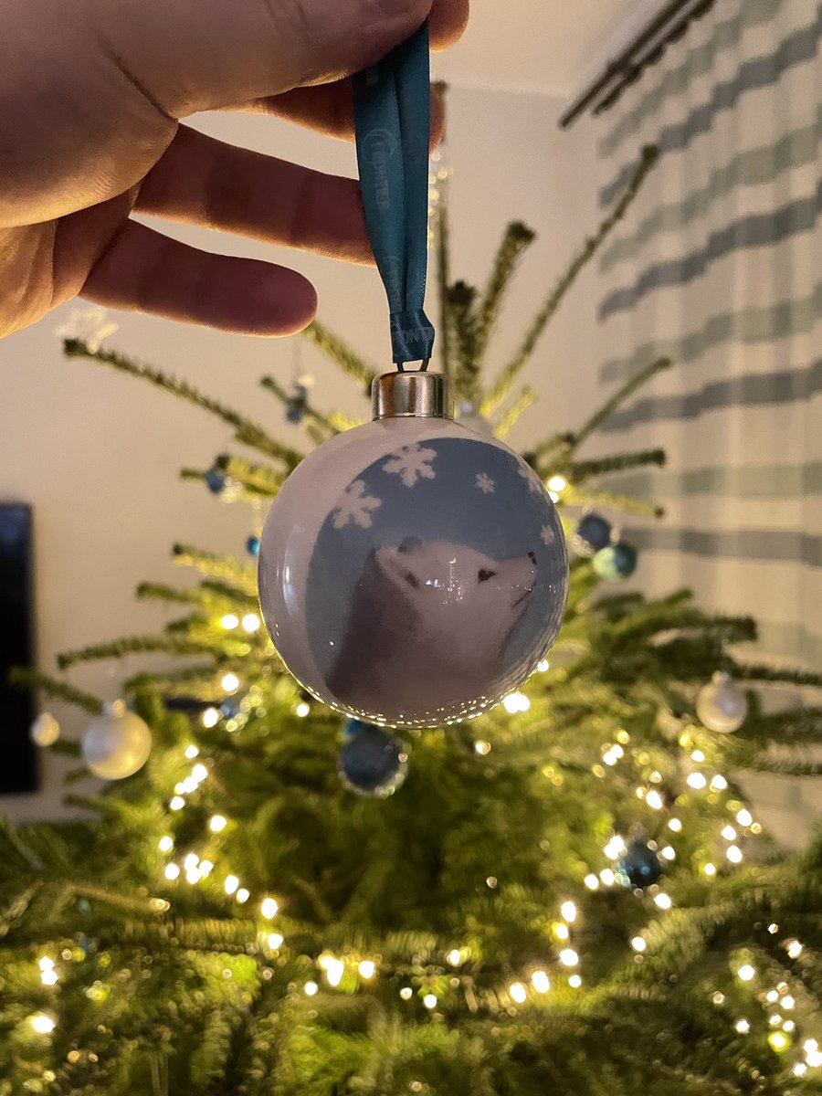 Look what made it under my Christmas tree this year!

Thank you so much <a href="/frontierdev/">Frontier</a> <a href="/PlanetZooGame/">Planet Zoo</a> <a href="/Dahlia_Penna/">Dahlia</a> 

Wish you all a merry Christmas! 🎄🎁 💜