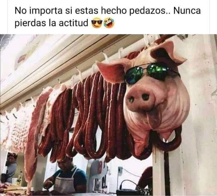 Santiago tweet media