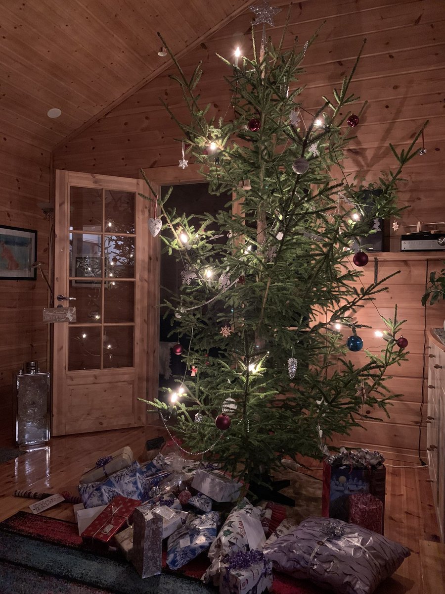Tilasin pienen kuusen; nuoriso toi metsästä vähän isomman. No, saadaan tästä saunapuut muutaman viikon päästä😄 Hyvää ja leppoisaa joulua kaikille!