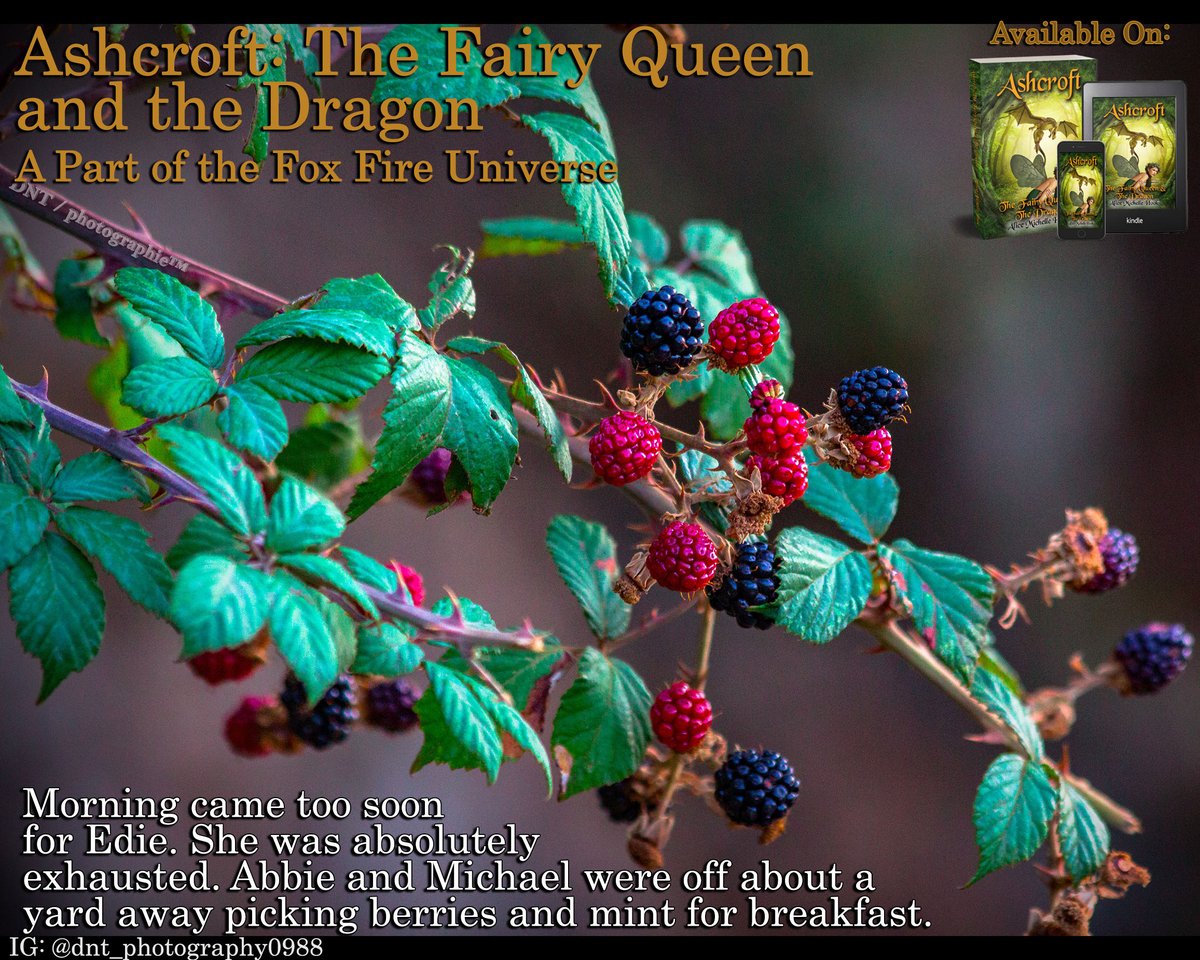 TheTJBerry's tweet photo. Sprites aren't natural hunters, but they're some of the best gatherers around!
#AbbieSprite #EdieSprite
#Ashcroft The Fairy Queen &amp; the Dragon
Amazon: https://t.co/ZFtCbZRLm4
Barnes &amp; Noble: https://t.co/yApSSOSOLf 
@FoxFirePub @JHDeMond https://t.co/oNGj5IU90c