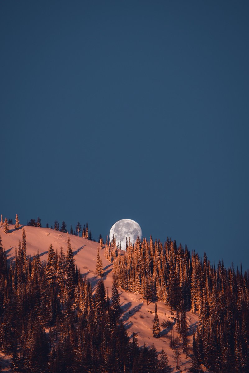gorgeous_pix's tweet photo. "Winter solstice moon, British Columbia. From u/scubasquatch100 on /r/earthporn #wintersolsticemoon #britishcolumbia #earthporn" https://t.co/Mr4TDOvjRB