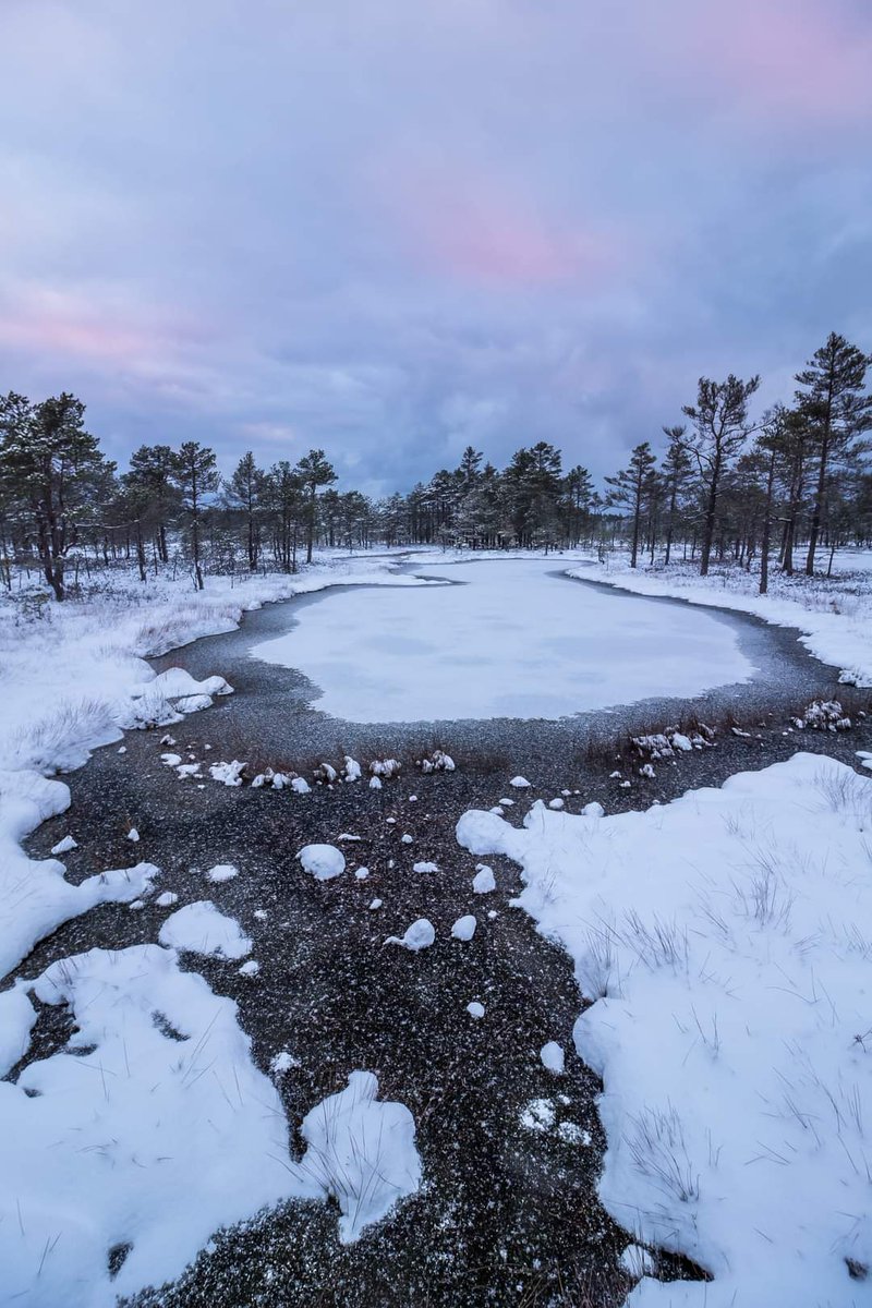 LProhhorov's tweet photo. Winter wonderland in Estonia. White Xmas at last.
#hiking #adventure #estonia https://t.co/R2C8U97p8t