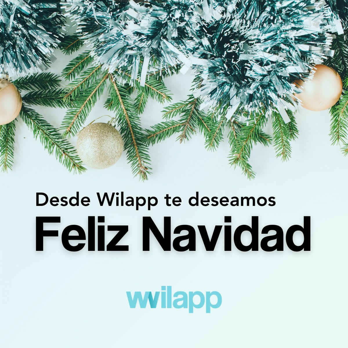 Desde #Wilapp queremos desearte que disfrutes mucho de las fiestas. 🎉🎄
¡Feliz navidad, wilappers!

💙🥰
#peluqueria #barberia #estética #salud #app #belleza #bienestar #bienstarsalud #sectorbelleza #skincare #cosmetica #madrid #barcelona #wilapp