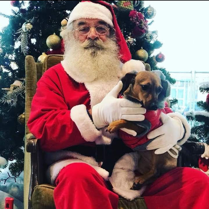 Un sereno Natale